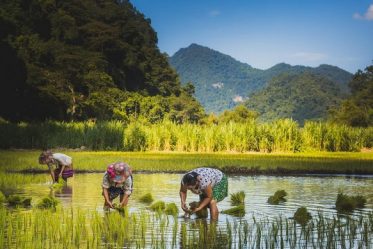 trekking in Ba Be national park