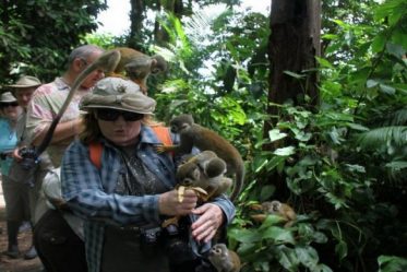 trekking in Cat Ba National park