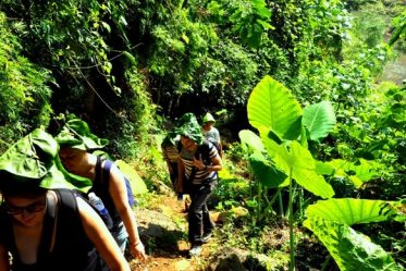 trekking in vietnam