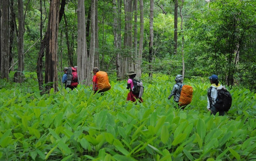 Trekking in Ta Nang - Phan Dung