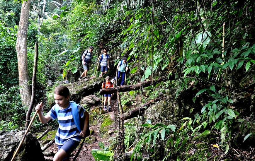 Jungle in Ba Be National Park