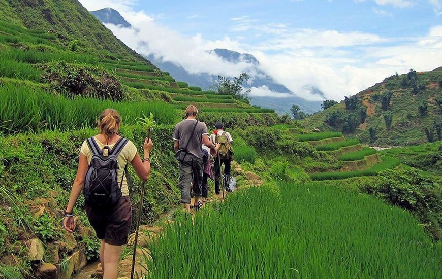 Sapa trekking