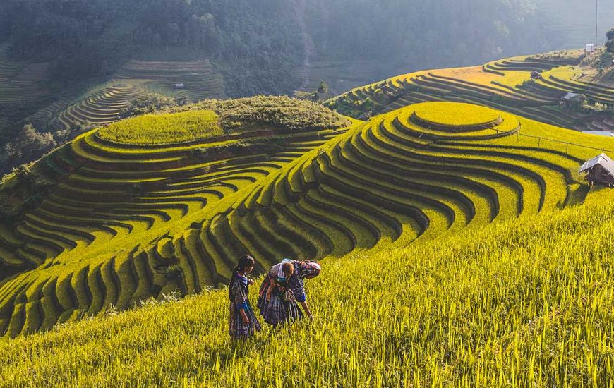 Trekking In Mu Cang Chai