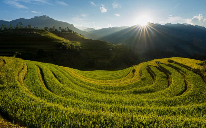 Mu Cang Chai Rice Fields