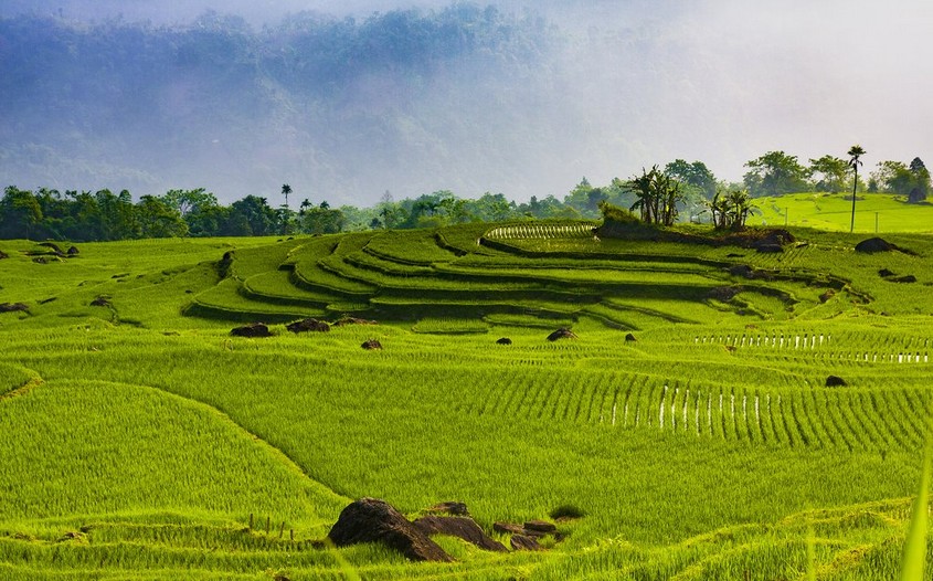 Pu Luong nature reserve