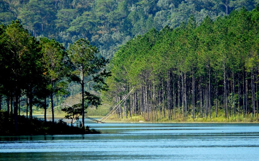 Tuyen Lam Lake