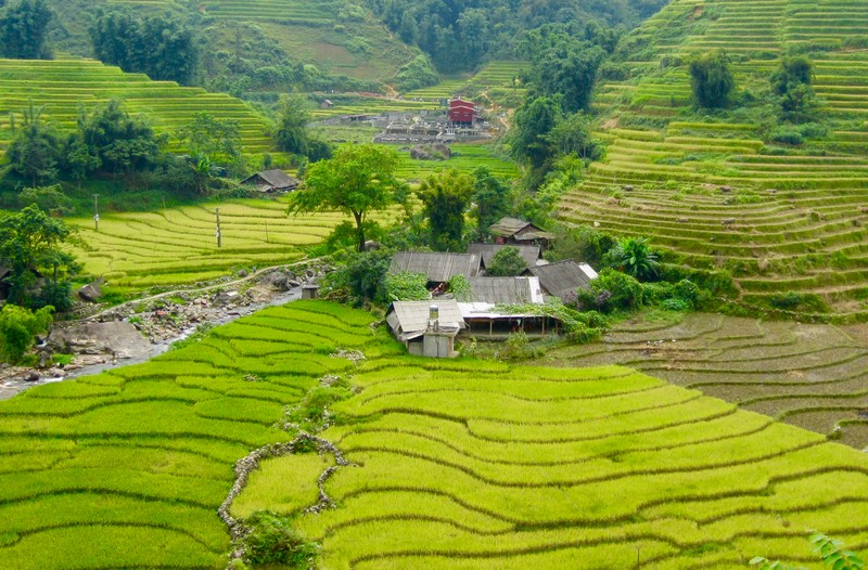 hiking Muong Hoa valley - sapa