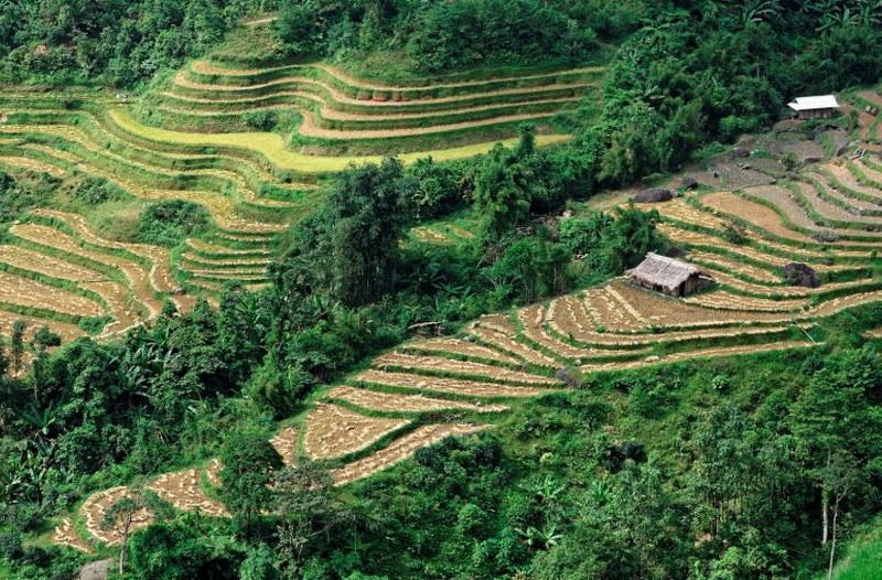 Bac Ha trekking trails