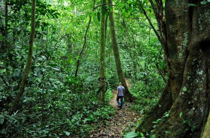 trekking Cuc Phuong National Park