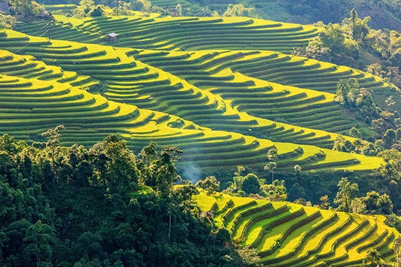 hoang su phi rice terraces